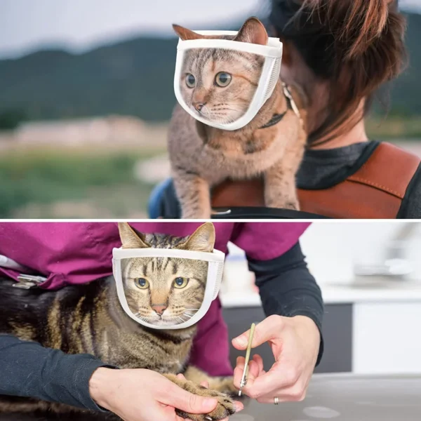 Breathable Clear Cat Muzzle
