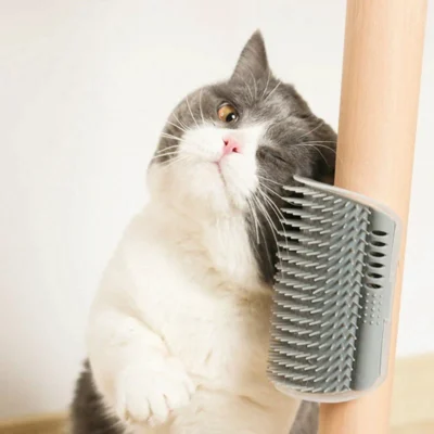 Cats Groomer Self Brush