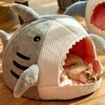 Enclosed Warm Shark House