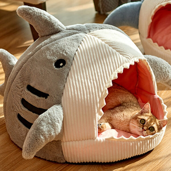 Enclosed Warm Shark House