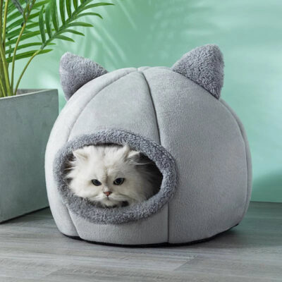 Cozy Little Cat House with Cat Ears