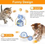 Tumbler Swing Toys for Cats