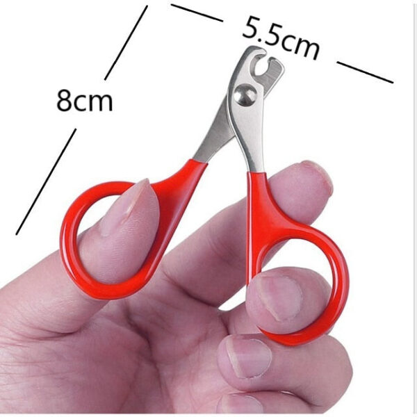 Hammock Nail Grooming