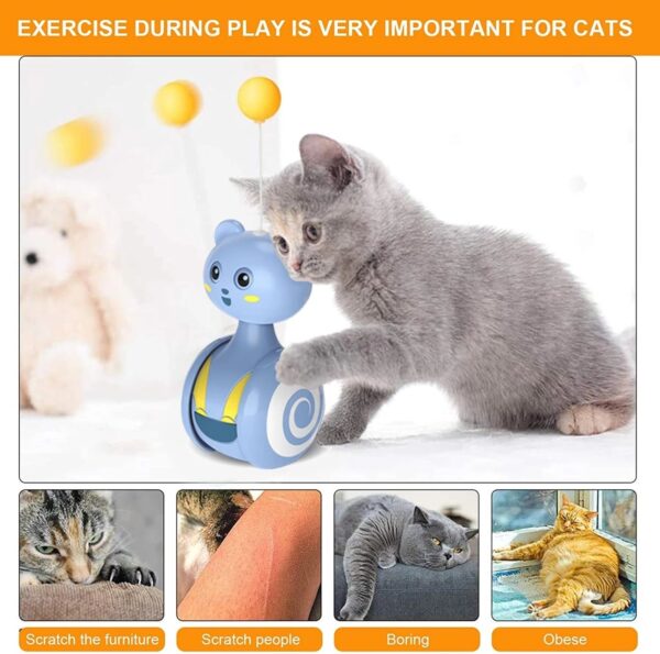 Tumbler Swing Toys for Cats