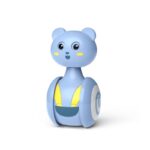 Tumbler Swing Toys for Cats